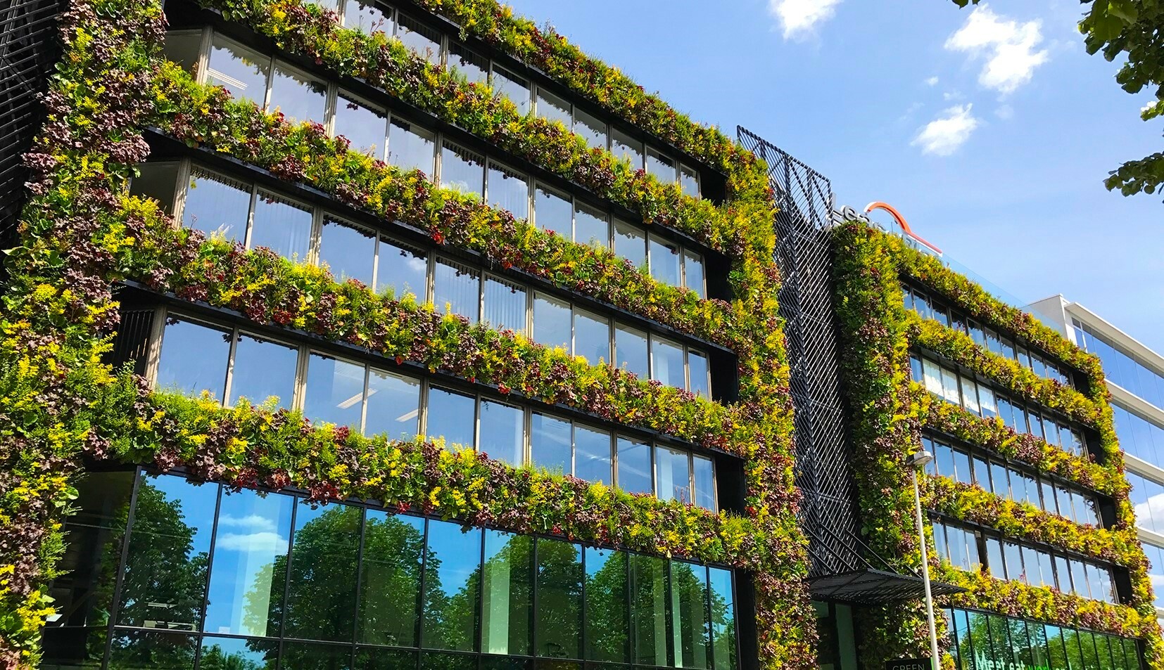 Green facades as a secret weapon for more sustainable buildings and lower energy bills